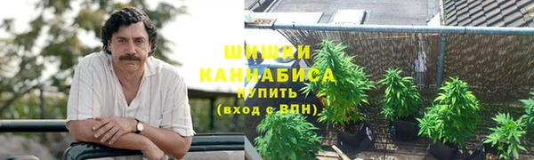 прущие грибы Алексин